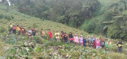 Gerakan Reboisasi! Anak-Anak Ikut dalam Penanaman 1.000 Bibit Pohon Cemara Gunung di Desa Ranupani