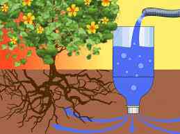 Cara Menyiram Tanaman Secara Otomatis Tanpa Ribet dengan Sistem Irigasi Tetes