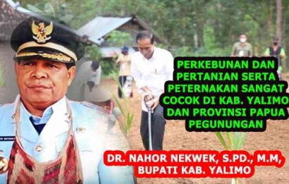 Dr. Nahor Nekwek, S.Pd, MM: Kabupaten Yalimo dan Provinsi Papua Pegunungan Lokasi yang cocok untuk Bertani, Berkebun, dan Berternak
