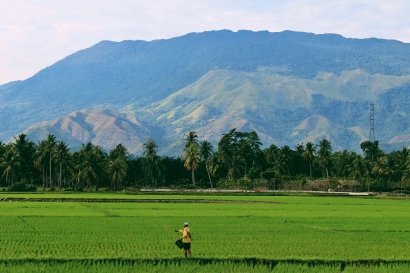 Petani: Pahlawan Ekonomi Nusantara yang dalam Krisis Regenerasi