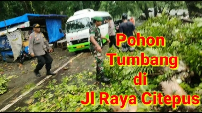 Terjadi Pohon Tumbang di Citeupus Jelang Nataru 2023