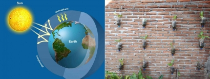 Green Wall (Tanaman Vertikal) Solusi Alternatif Perubahan Iklim