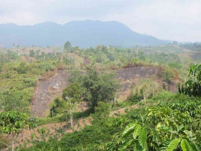 History 50 Gabungan Kelompok Tani Hutan di KPH Liwa  Provinsi Lampung