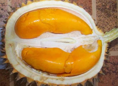 Lai, "Durian Oranye" Endemik Kalimantan