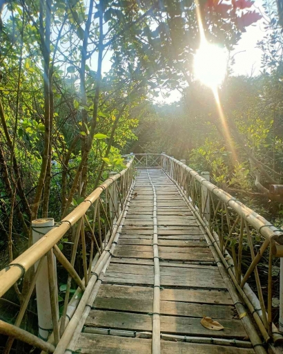 Hiruk-Pikuk Masyarakat Pesisir Pantai Mengelola Ekowisata Mangrove Pantai Kadilangu