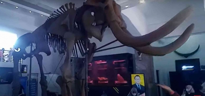 Ada Fosil T-Rex di Museum Geologi Bandung