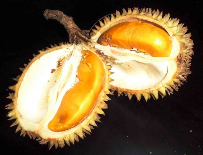 Pampakin, Saudaranya Durian yang Beda Rasa