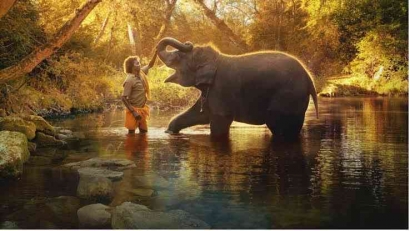 The Elephant Whisperers, Dokumenter Gajah yang Terlantar dan Perawatnya