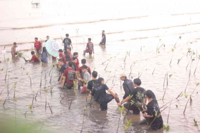 Mahasiswa UNIPMA PMM 2 di Universitas Islam Makassar ciptakan Gerakan 1000 Mangrove dan Budaya Literasi di Kawasan Mangrove Lantebung
