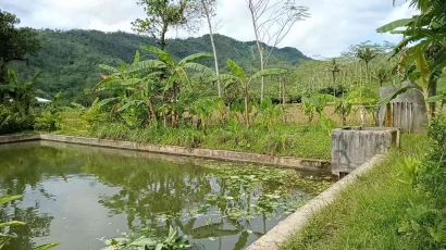 Deklarasi Desa Open Defecation Free: Program Percepatan ODF oleh Mahasiswa KKN Undip di Desa Mlaya, Kecamatan Punggelan, Kabupaten Banjarnegara