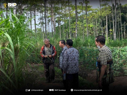 Jelang Lelang, Kurator Adakan Open House Harta Pailit dr Yuan Ade Sukma dan CV Green Leaf Indonesia