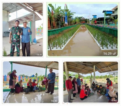 Kerjasama Fakultas Pertanian UMP dengan Korem Gapo 044 dalam Mempromosikan Padi Apung