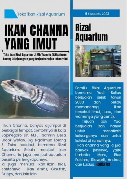 Wawancara Kelas 7-C Penjual Ikan Channa