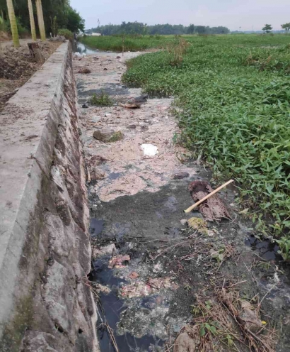 Limbah Sampah Pabrik Usus Mencemari Aliran Sungai dan Irigasi Warga