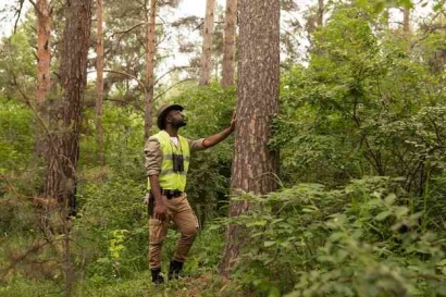 Sumber Daya Hutan dan Peluang Riset Konservasi Biodiversitas
