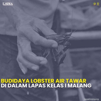 Lapas Kelas I Malang Miliki Budidaya Lobster Air Tawar