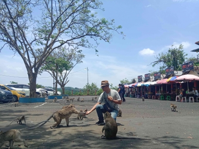 Bermain dengan Monyet Jinak di Goa Kreo Semarang