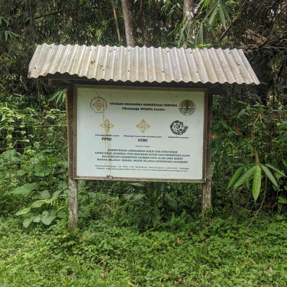 Cikananga Wild Life Center Tempat Pusat Penyelamatna Margasatwa Terluas di Indonesia