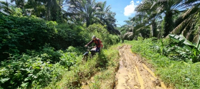 Komoditas Utama Petani dan Kopi Liberika di Kecamatan Sepaku, Satu Kecamatan dengan Otorita IKN Nusantara