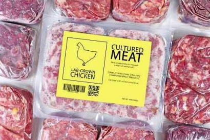 Rendahnya Minat Masyarakat Indonesia Terhadap Konsumsi Daging Ayam Beku