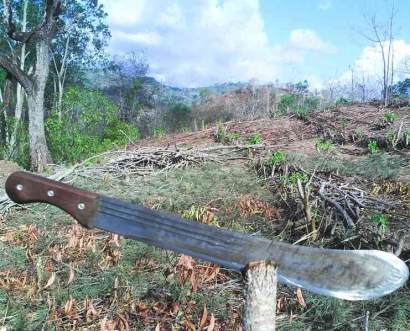 Parang "Noe Tenu", Jati Diri Petani di Timor
