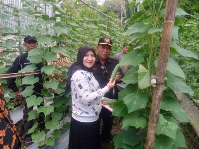 Bupati Kayong Utara Panen Perdana Tanaman Holtikultura Tim Patroli Hutan Desa Binaan Yayasan Palung