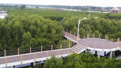 Taman Mangrove Ketapang di Pesisir Pantai Tangerang yang Membantu Dongkrak Ekonomi Perkampungan Sekitar