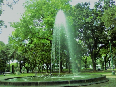 Suasana Santai yang Alami di Taman Suropati