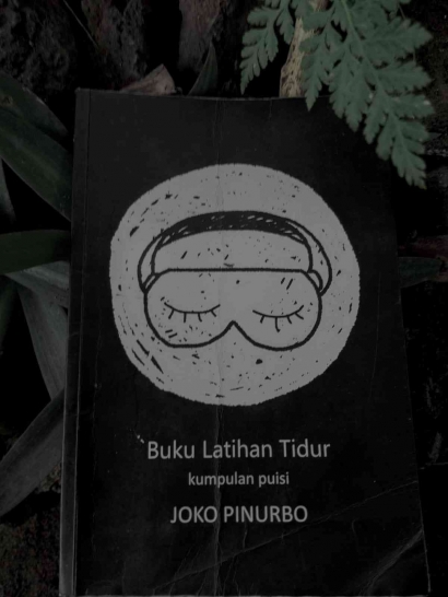 Membaca Puisi Anak Pencuri karya Joko Pinurbo