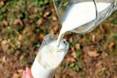5 Olahan Susu yang Baik untuk Kesehatan dan Bisa Dikonsumsi Setiap Hari!