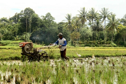 Sensus Pertanian 2023: Membangun Fondasi Data untuk Pertanian yang Berkelanjutan di Indonesia