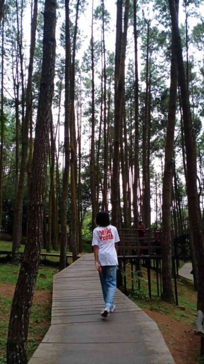 Indahnya Wisata Hutan Pinus Mangunan di Yogyakarta