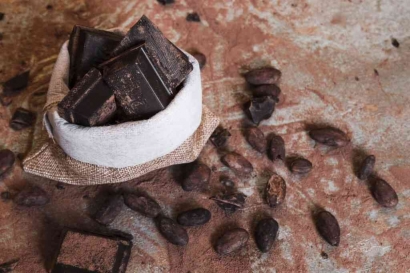 Saingan Negara Indonesia dalam Meningkati Nilai Ekspor Kakao di Pasar Uni Eropa