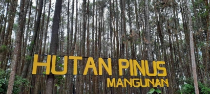 Menikmati Keajaiban Alam Hutan Pinus Mangunan, Destinasi Wisata yang Memikat di Yogyakarta