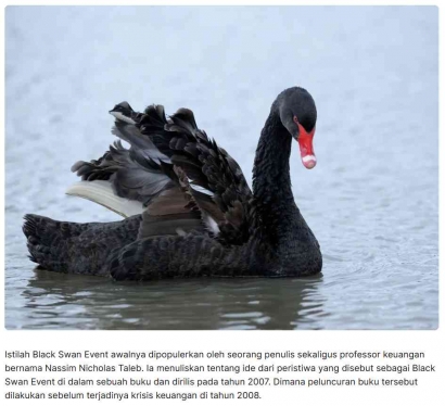 Angsa Hitam dan Kita: Mengenal Istilah 'Black Swan Event'