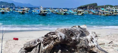 Keajaiban Pantai Tanjung Papuma