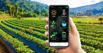 Memanfaatkan Sensor dan Konektivitas dalam Pertanian Modern