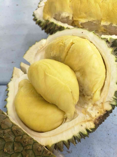 Lima Provinsi dengan Penghasil Durian Terbanyak di Indonesia