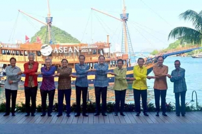Belajar dari Burung Jalak dan Kerbau: ASEAN Mencari "Kutu" sebagai Objek Pemersatu