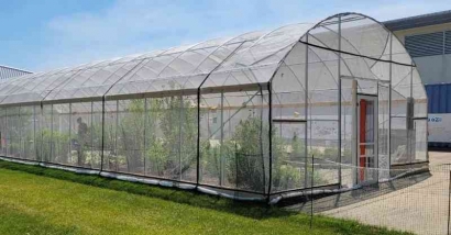 Smart Greenhouse: Inovasi Pertanian Era Digital 4.0