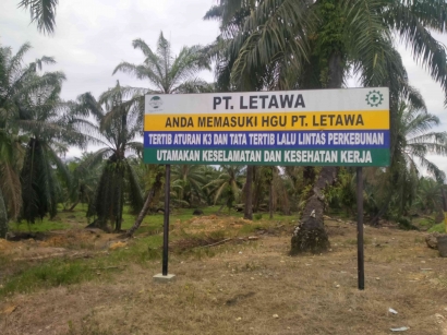 Konflik Agraria dan Kisruh Perkebunan Sawit di Perbatasan Sulawesi Barat - Sulawesi Tengah