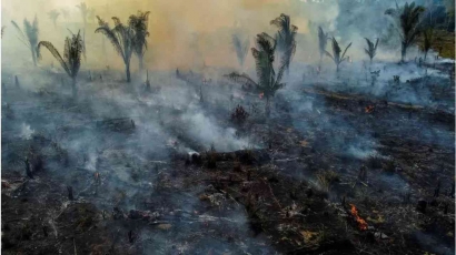 Indonesia Menjadi Contoh Dunia dalam Munurunkan Laju Deforestasi