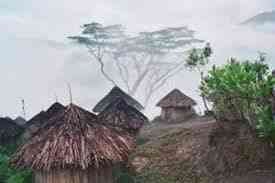 Peradaban Tertua di Pegunungan Timur Papua