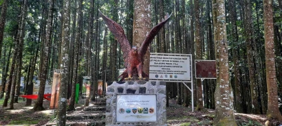Pengalaman Menarik Mengunjungi Pusat Konservasi Elang Jawa di Kawasan Gunung Gede Pangrango