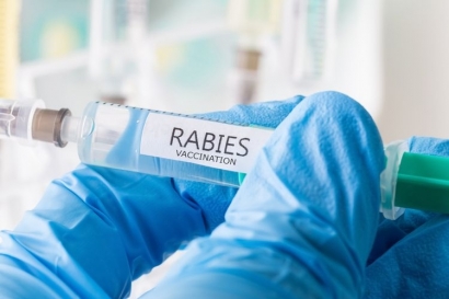 Rabies di Indonesia dan Jalan Panjang Pemberantasan