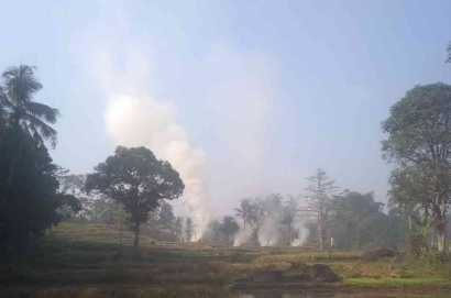 Panen Tiba: Membakar Jerami, Mata Perih dan Pencemaran Udara, Sudah Biasa di Desa?