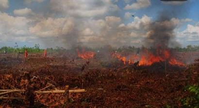 Keterancaman Leksikon (Bahasa) Akibat Kebakaran Hutan