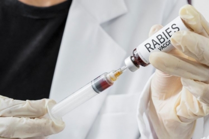 Vaksin Rabies, Tawaran Gratis dan Keputusan Preventif