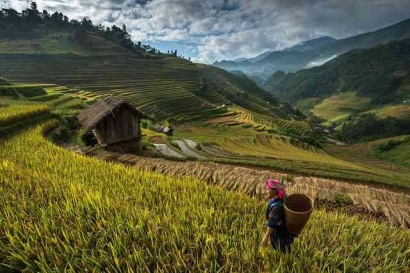 Budaya Bertani: Kearifan Lokal dan Pengetahuan untuk Pertanian Berkelanjutan