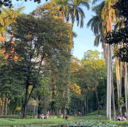 Taman Langsat, Spot Instagenik yang Menjadi Tempat Piknik Anak Jaksel